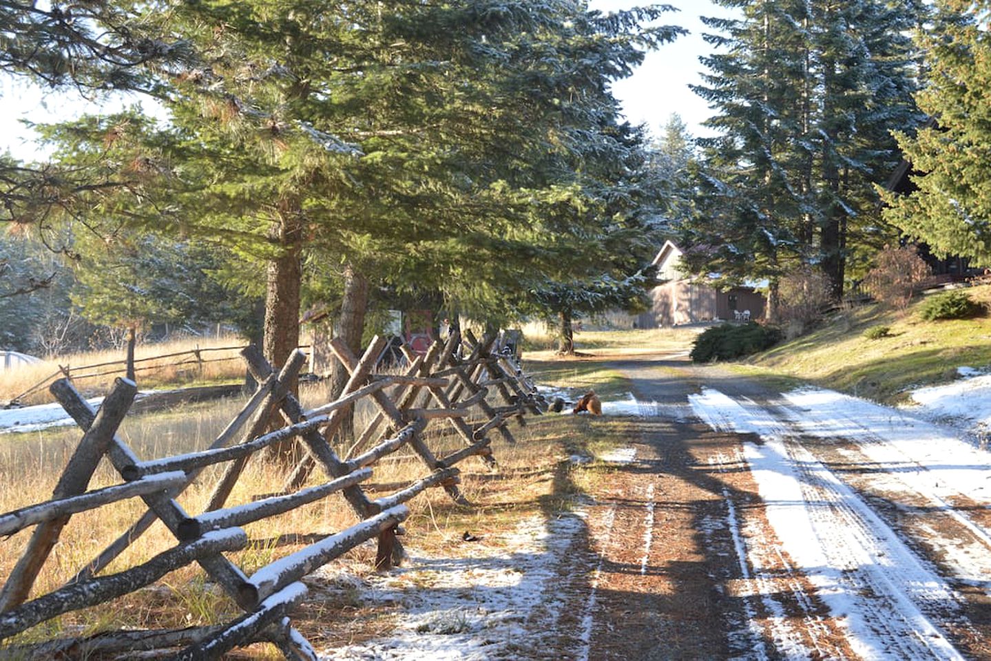 Adorable Cabin Rental with Fireplace for a Couples' Vacation near Post Falls, Idaho