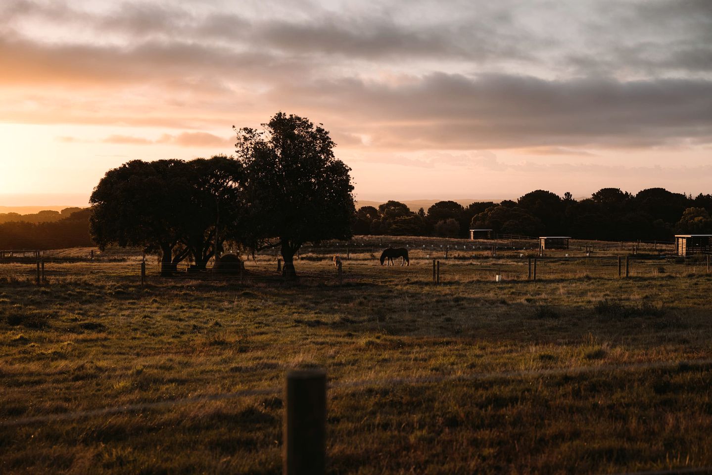 Luxury Tiny House Rental with Big Views for Victoria Glamping