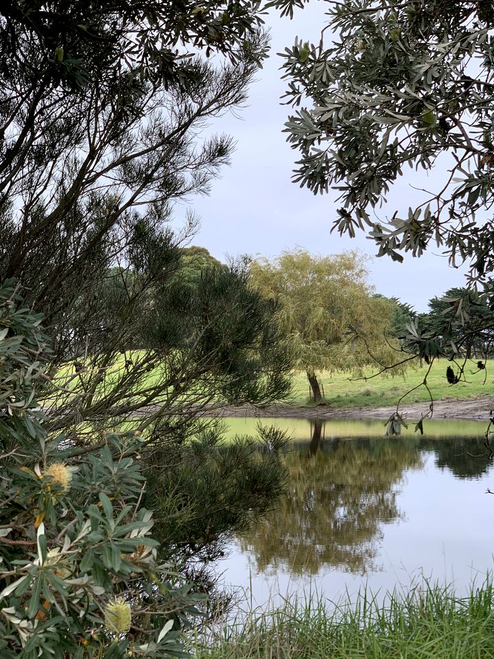 Luxury Tiny House Rental with Big Views for Victoria Glamping