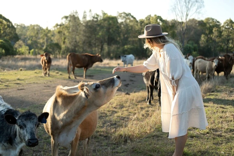 Tiny Houses (Australia, Cherwell, Queensland)