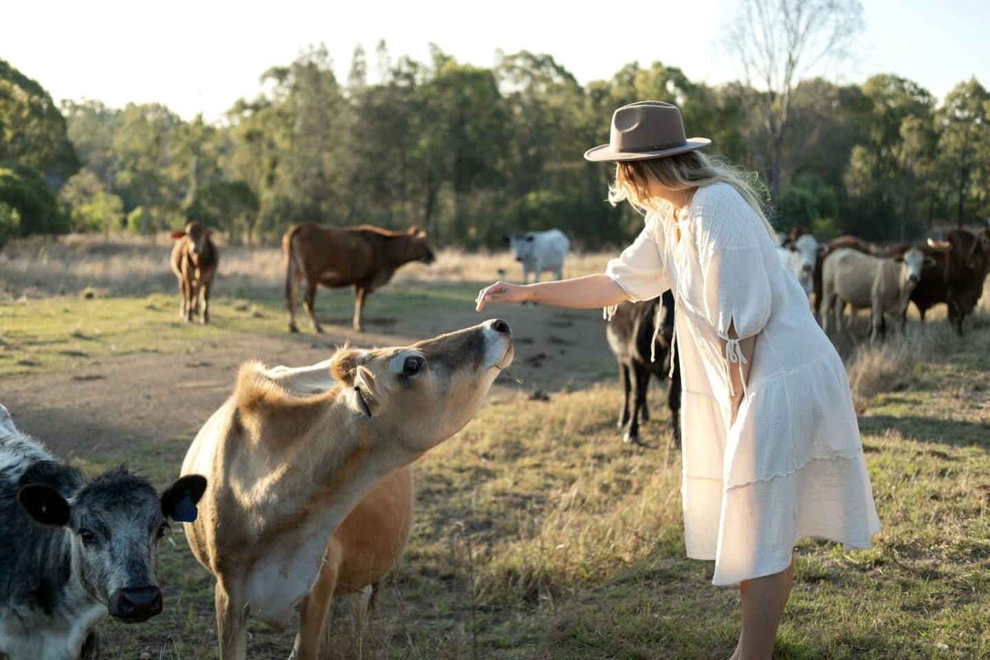 Tiny House Farmstay Glamping for an Outdoor Adventure in Queensland