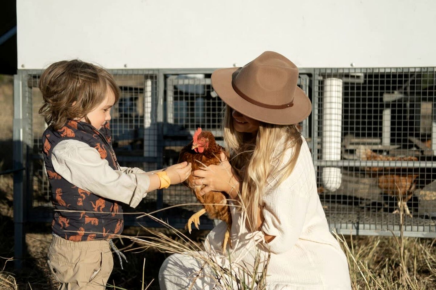 Tiny House Farmstay Glamping for an Outdoor Adventure in Queensland