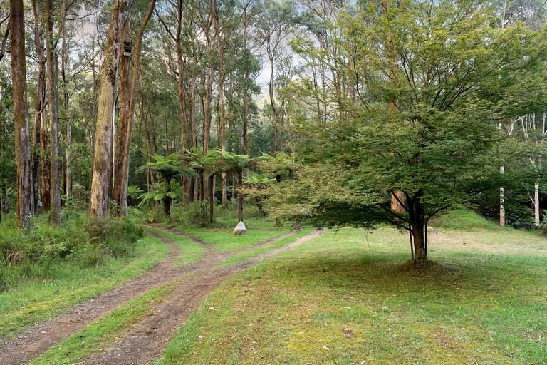 Tiny Houses (Australia, Toolangi, Victoria)