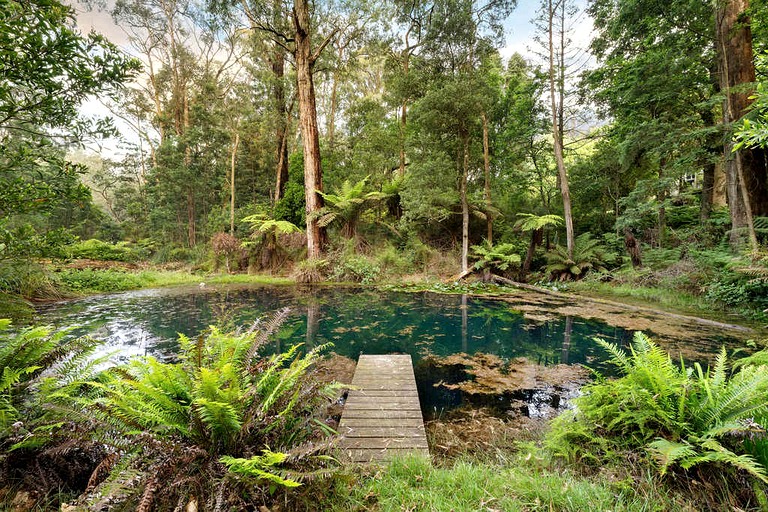 Tiny Houses (Australia, Toolangi, Victoria)