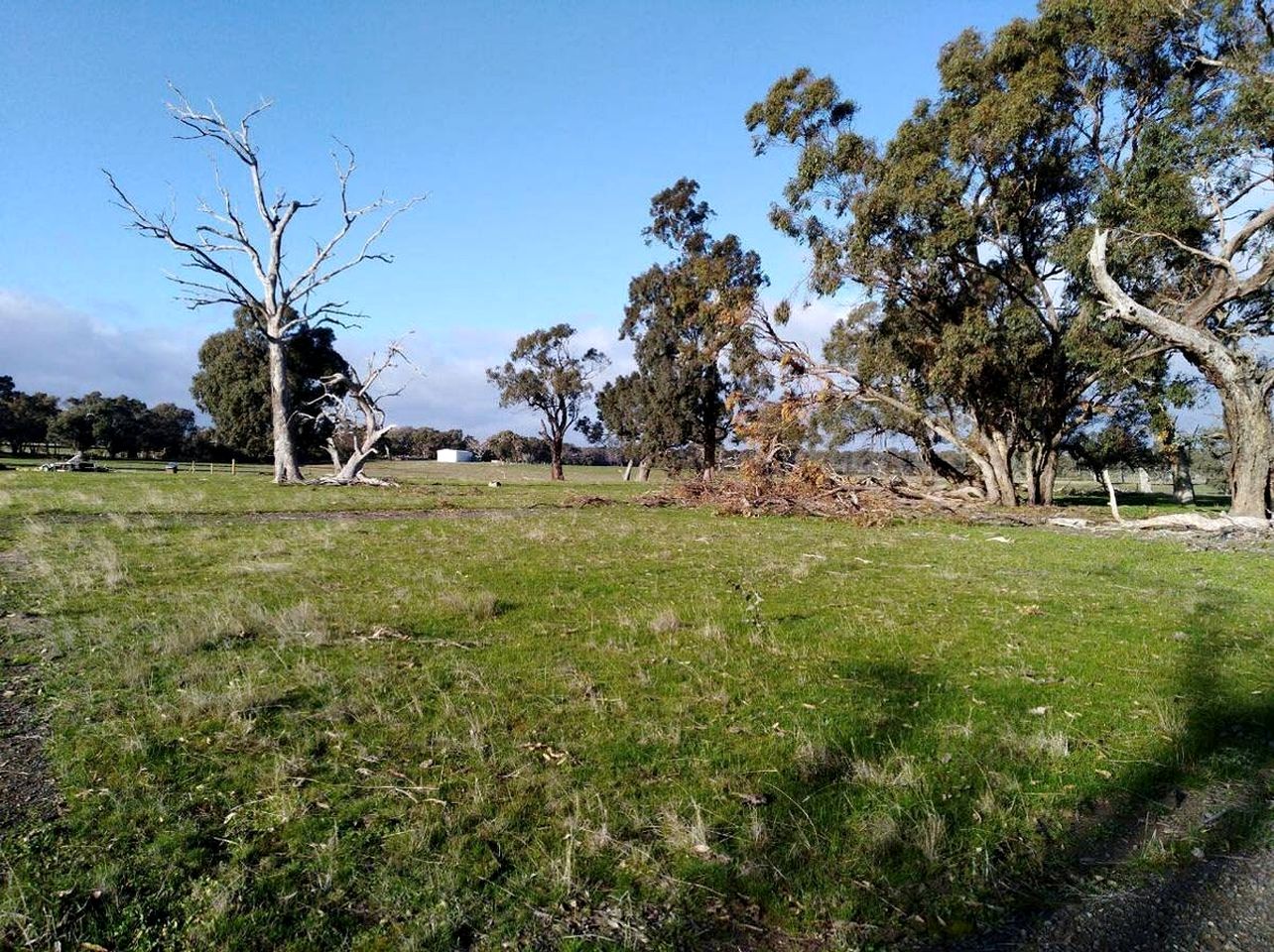 Rustic Tiny House Rental for a Weekend Getaway in Victoria