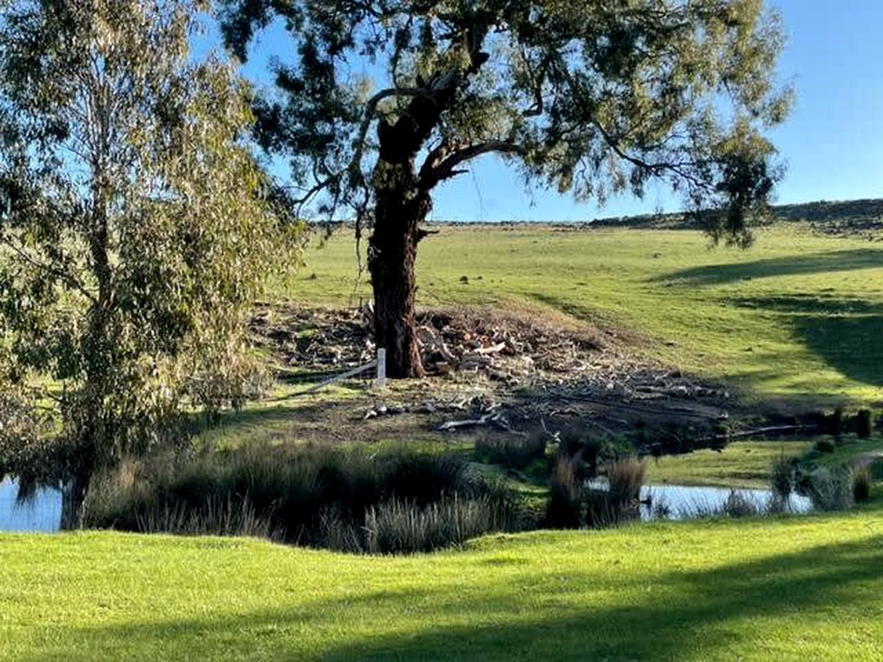 Charming Tiny House, Ideal for a Glamping Escape near Heathcote