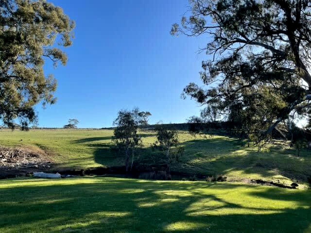 Charming Tiny House, Ideal for a Glamping Escape near Heathcote