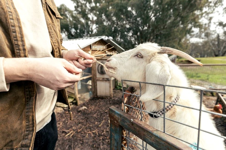 Tiny Houses (Australia, Axedale, Victoria)