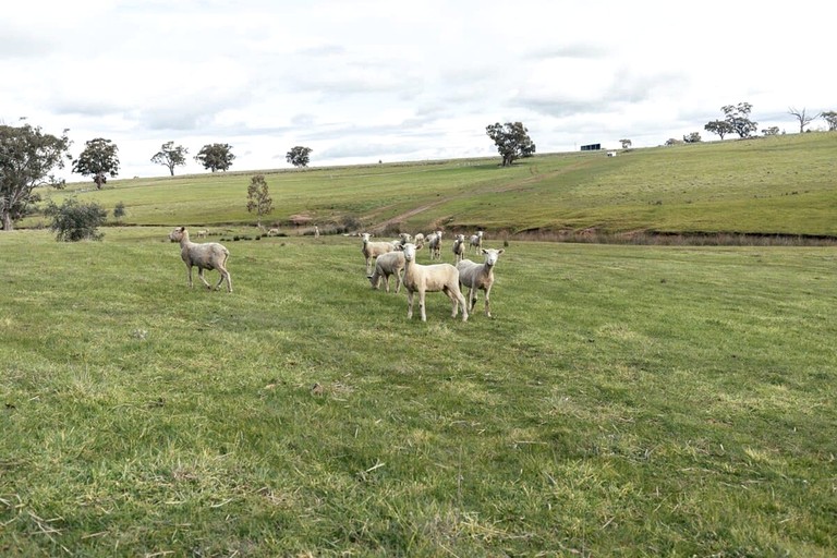 Tiny Houses (Australia, Axedale, Victoria)