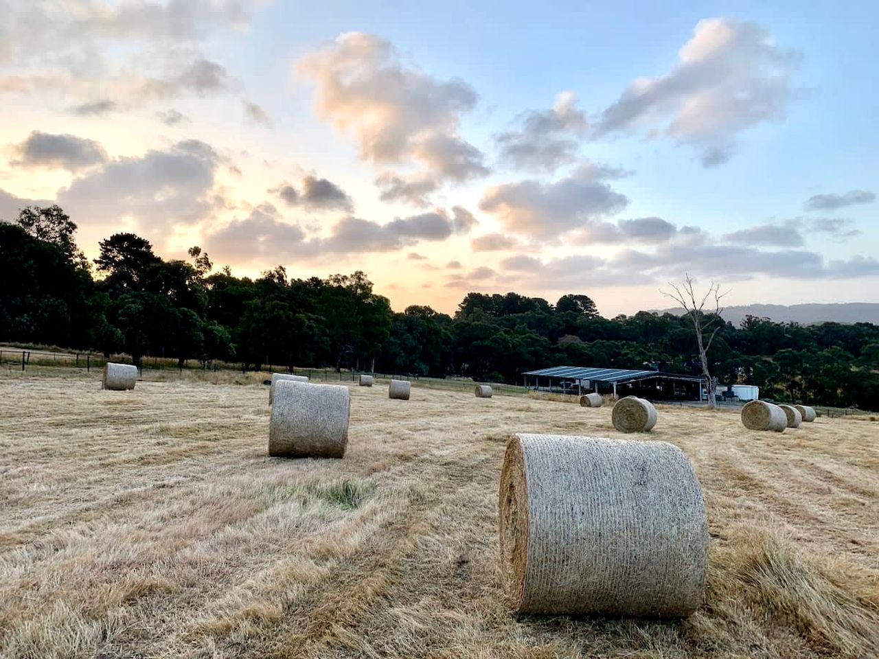 Tiny House Glamping on a Horse Farm in Macclesfield, Ideal for a Nature Escape from Melbourne