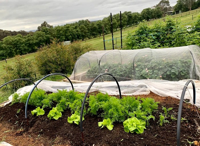 Vacation Rentals (Australia, Macclesfield, Victoria)