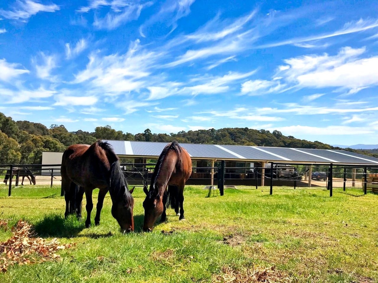 Tiny House Glamping on a Horse Farm in Macclesfield, Ideal for a Nature Escape from Melbourne