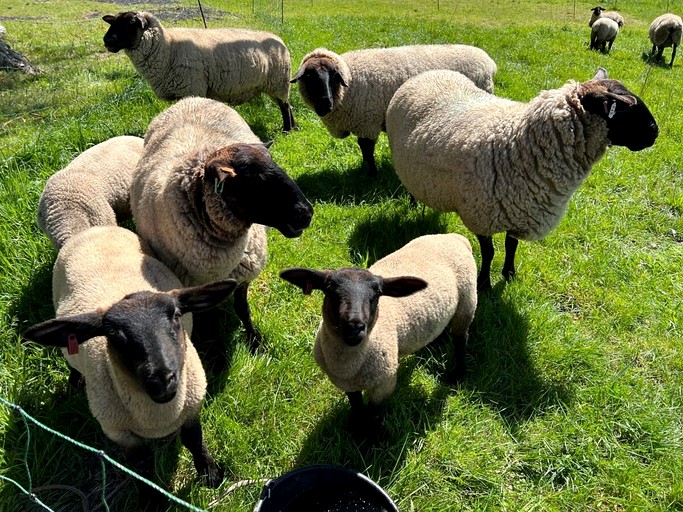 Vacation Rentals (Australia, Macclesfield, Victoria)