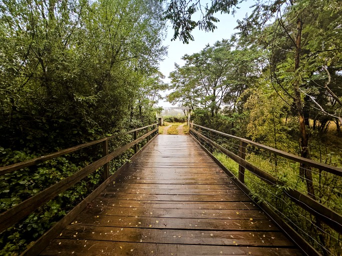 Tiny Houses (Australia, Flowerdale, Victoria)