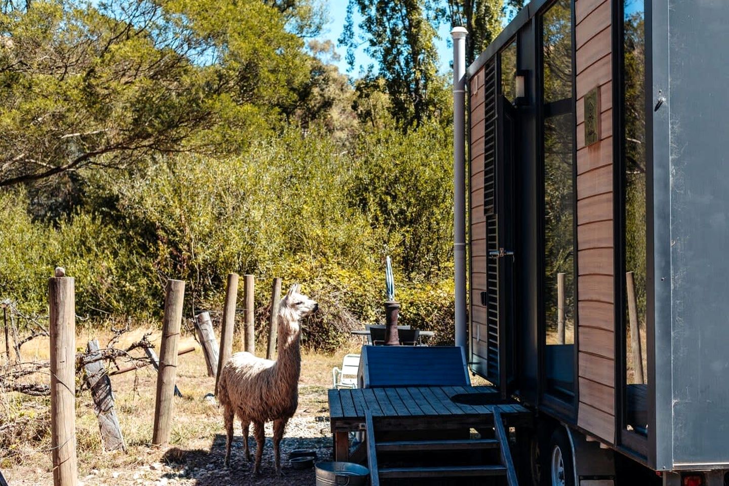 Alpaca Tiny House in Flowerdale, Victoria