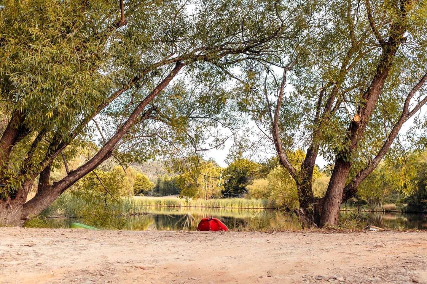 Alpaca Tiny House in Flowerdale, Victoria