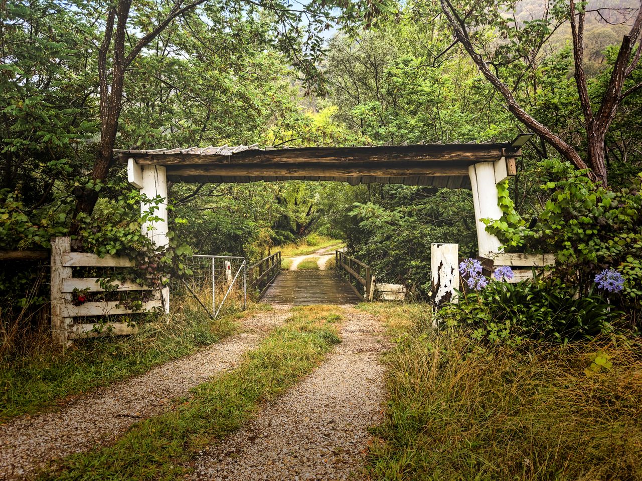Alpaca Tiny House in Flowerdale, Victoria