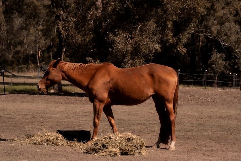 Tiny Houses (Australia, Cessnock, New South Wales)