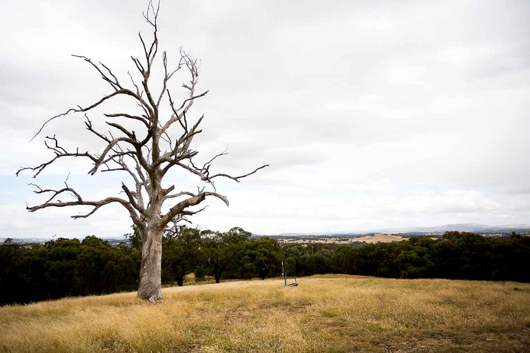 Tiny Houses (Australia, Tallarook, Victoria)