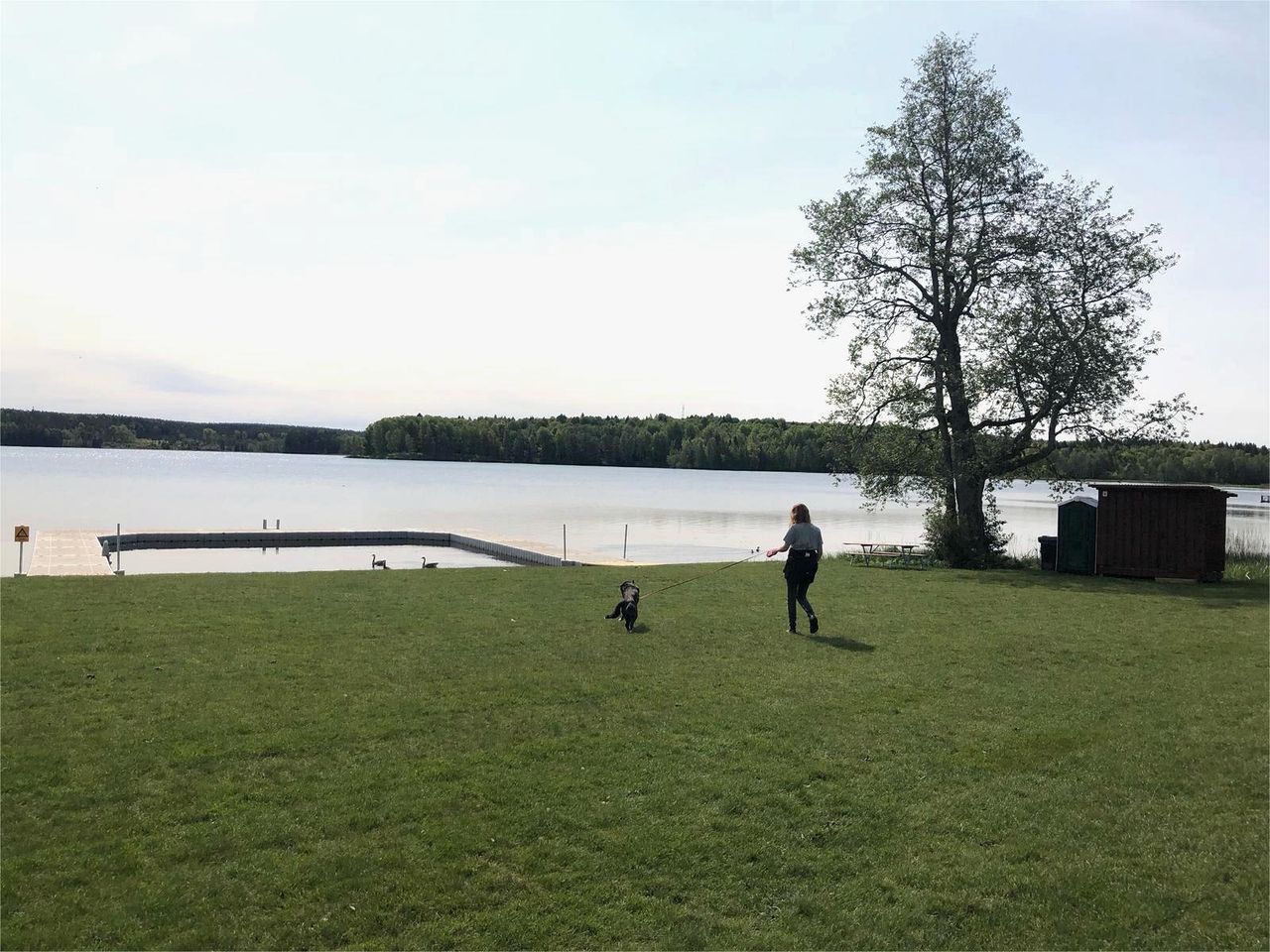 Tiny House Loft Surrounded on a Beautiful Flower Farm in Hjo, Sweden
