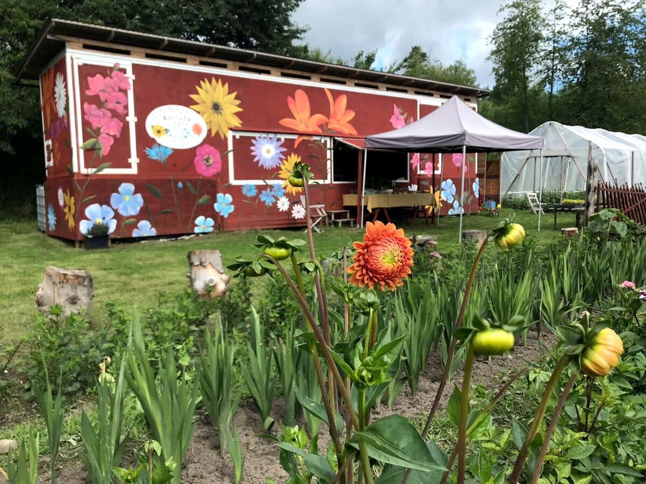 Tiny House Loft Surrounded on a Beautiful Flower Farm in Hjo, Sweden