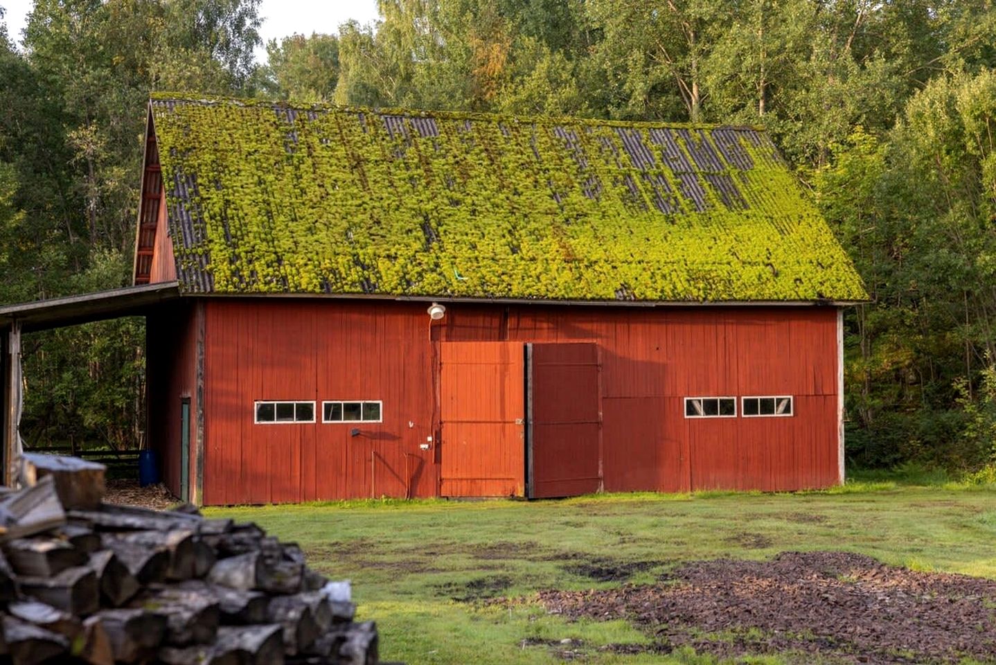 Tiny House Loft Surrounded on a Beautiful Flower Farm in Hjo, Sweden
