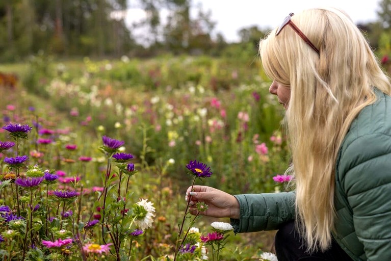 Tiny Houses (Sweden, Hjo, Västra Götaland)