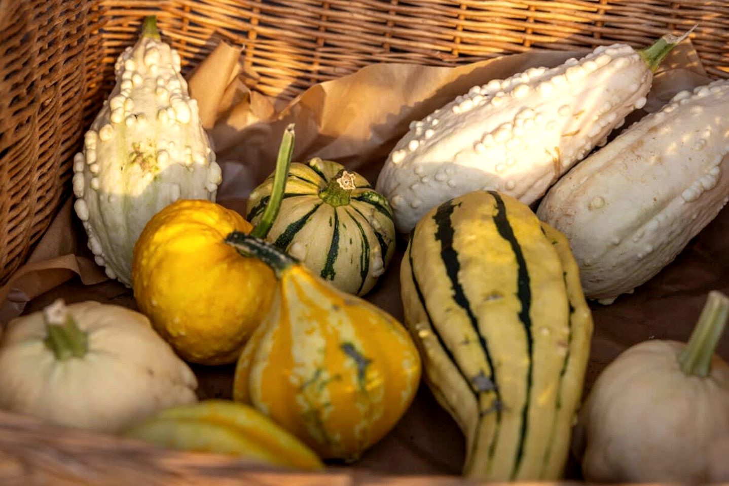 Tiny House Loft Surrounded on a Beautiful Flower Farm in Hjo, Sweden