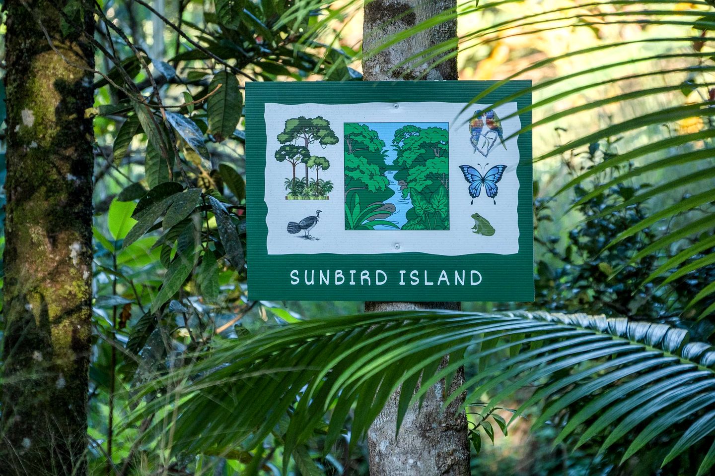 Tiny House with Outstanding Landscape Views in Mena Creek, Queensland