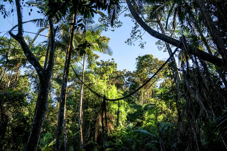 Tiny Houses (Australia, Mena Creek, Queensland)