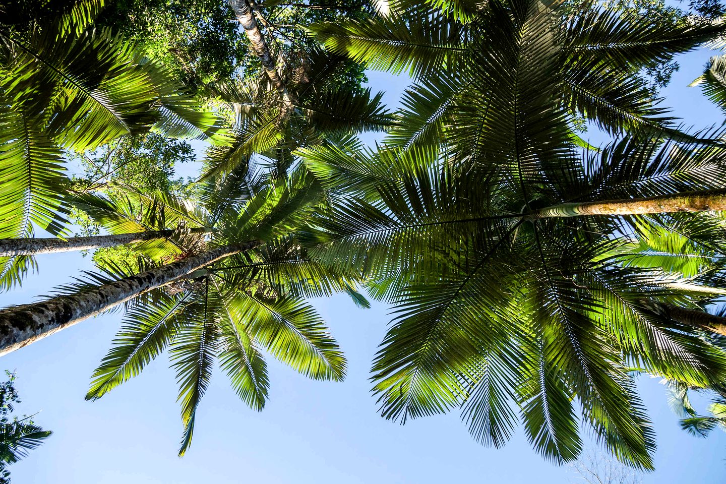 Tiny House with Outstanding Landscape Views in Mena Creek, Queensland