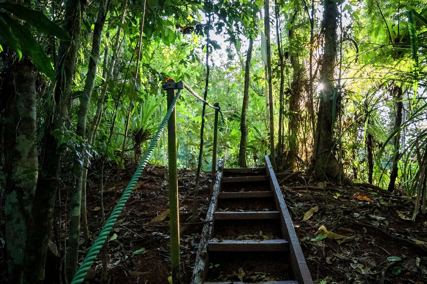 Tiny House with Outstanding Landscape Views in Mena Creek, Queensland