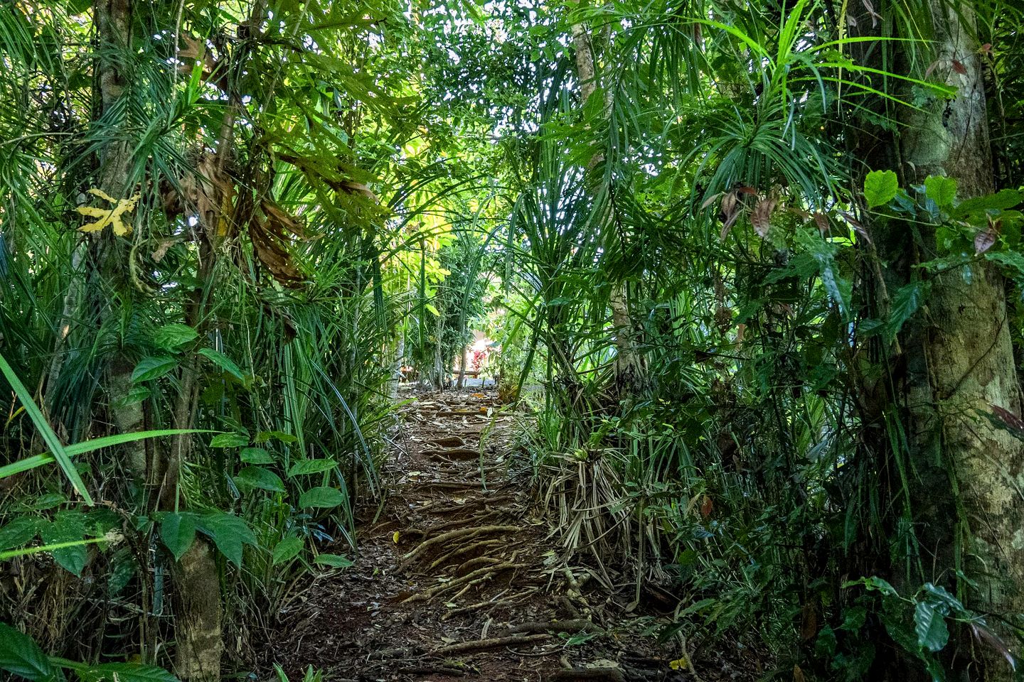 Tiny House with Outstanding Landscape Views in Mena Creek, Queensland