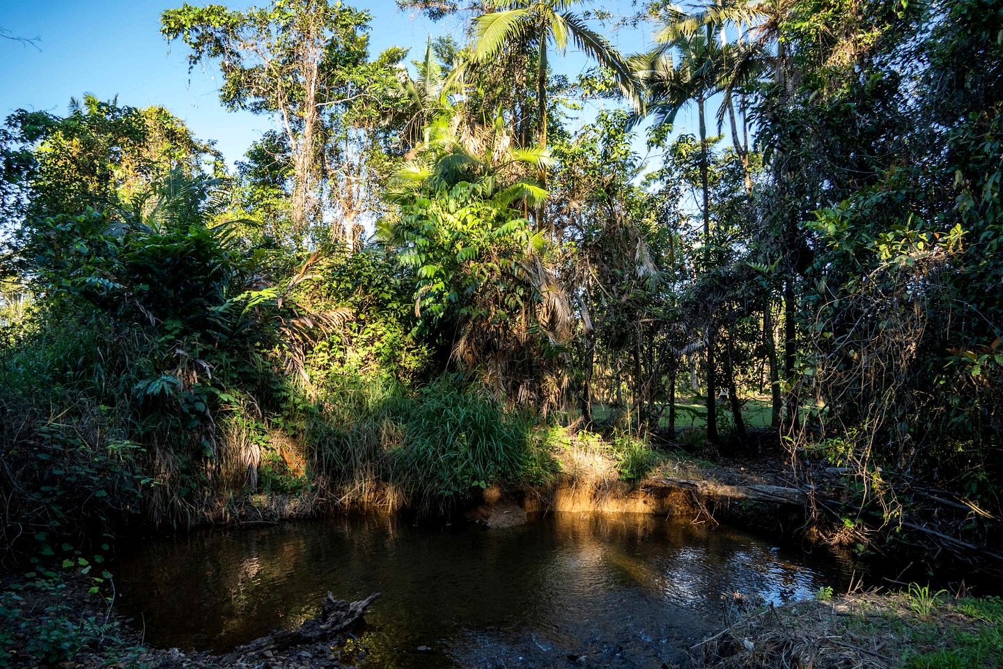 Tiny House with Outstanding Landscape Views in Mena Creek, Queensland