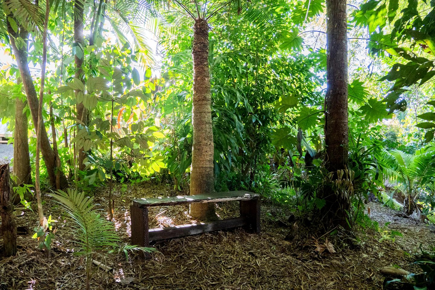 Tiny House with Outstanding Landscape Views in Mena Creek, Queensland