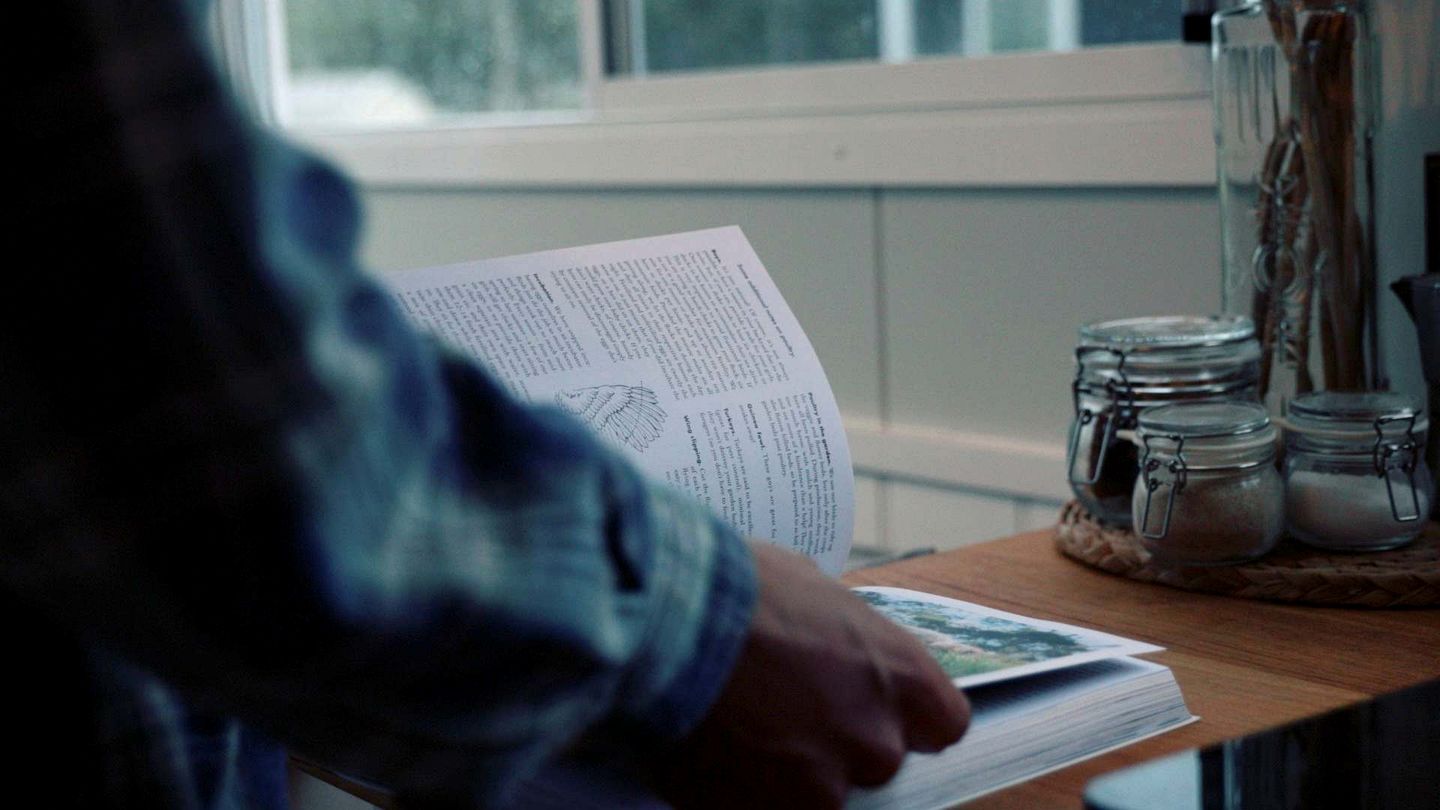 Peaceful Tiny House Rental on a Horse Farm for Glamping near Canberra