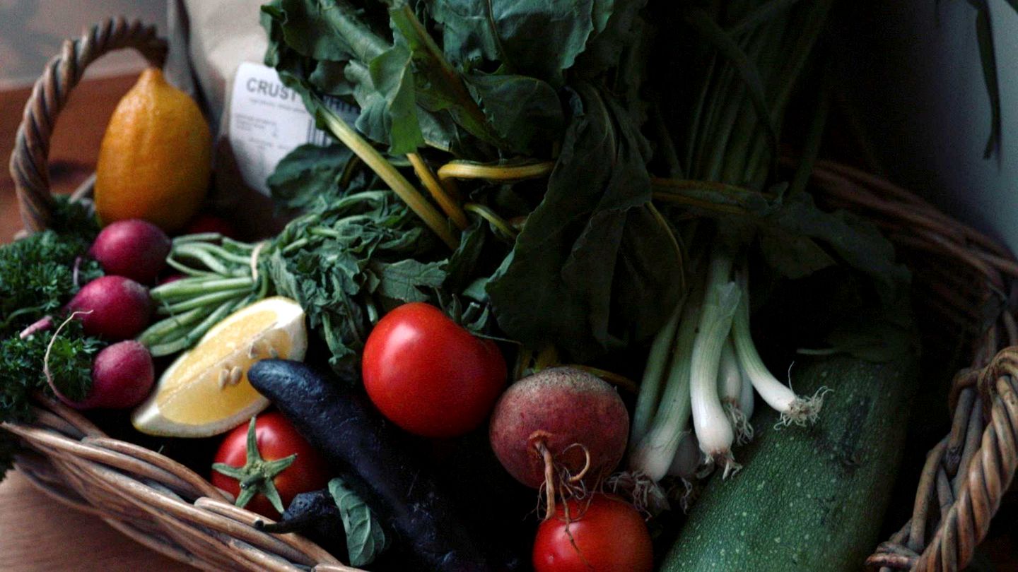 Peaceful Tiny House Rental on a Horse Farm for Glamping near Canberra