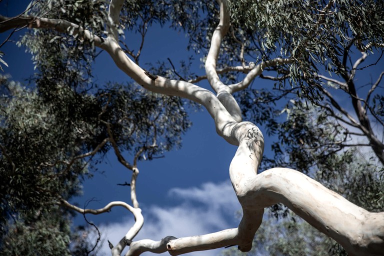 Tiny Houses (Australia, Braidwood, New South Wales)
