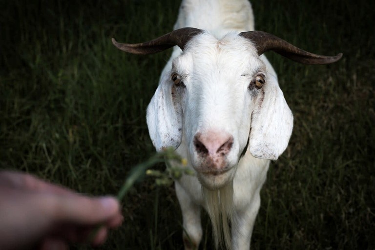 Tiny Houses (Australia, Comleroy, New South Wales)