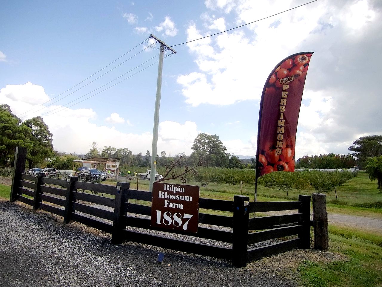 Charming Tiny House Rental for Glamping in NSW