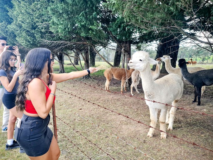 Tiny Houses (Australia, Comleroy, New South Wales)