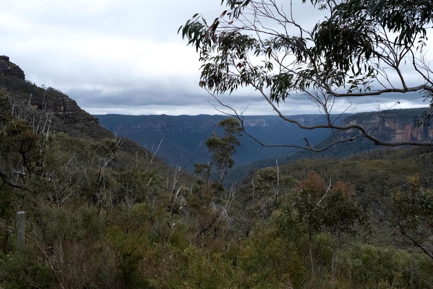 Tiny House Rental for Glamping, NSW