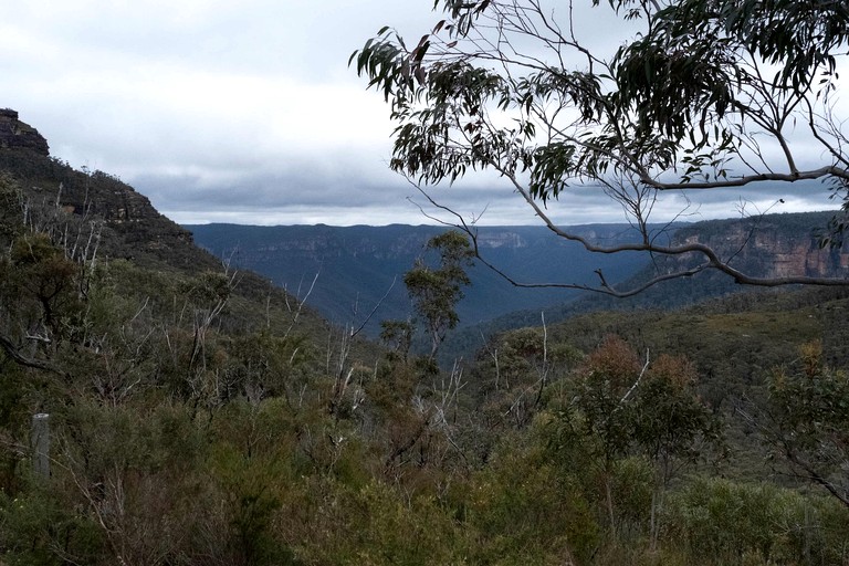 Tiny Houses (Australia, Grose Vale, New South Wales)