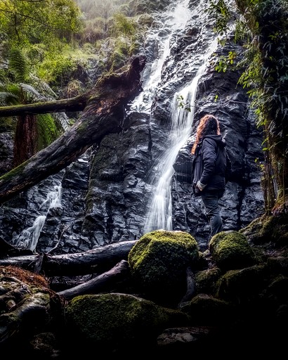 Tiny Houses (Australia, Grose Vale, New South Wales)