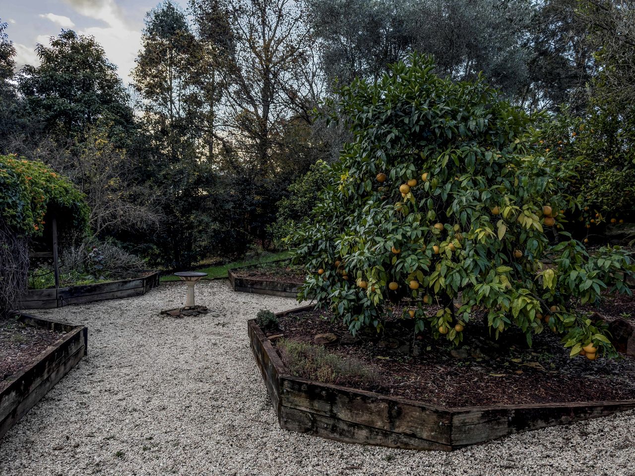 Tiny House Rental for Glamping, NSW