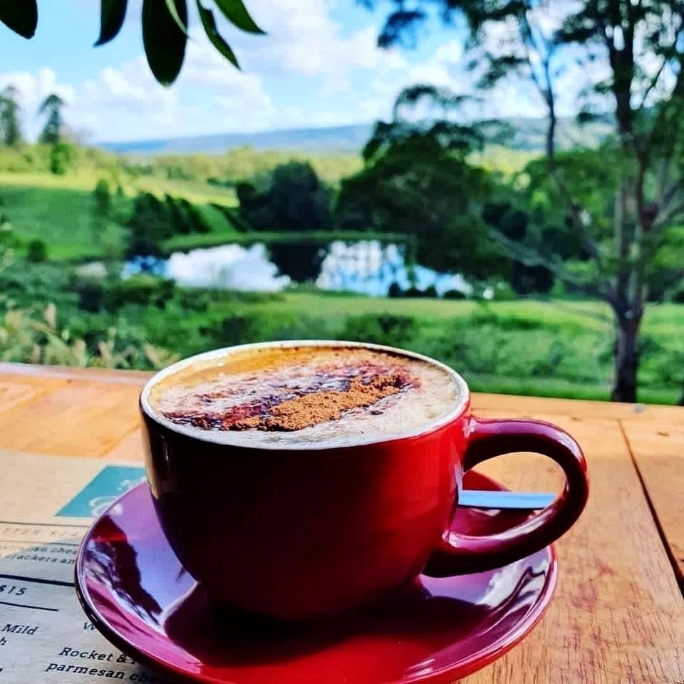 Tiny House Rental for Glamping, NSW