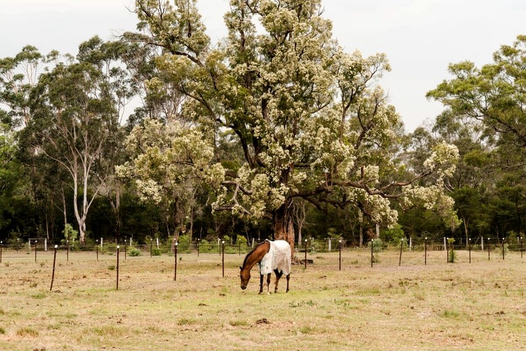 Tiny Houses (Australia, Cessnock, New South Wales)