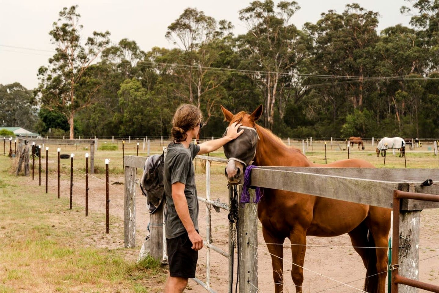 Peaceful Tiny House Rental Ideal for NSW Glamping
