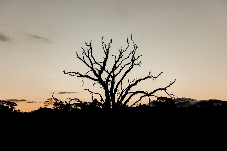 Tiny Houses (Australia, Cessnock, New South Wales)