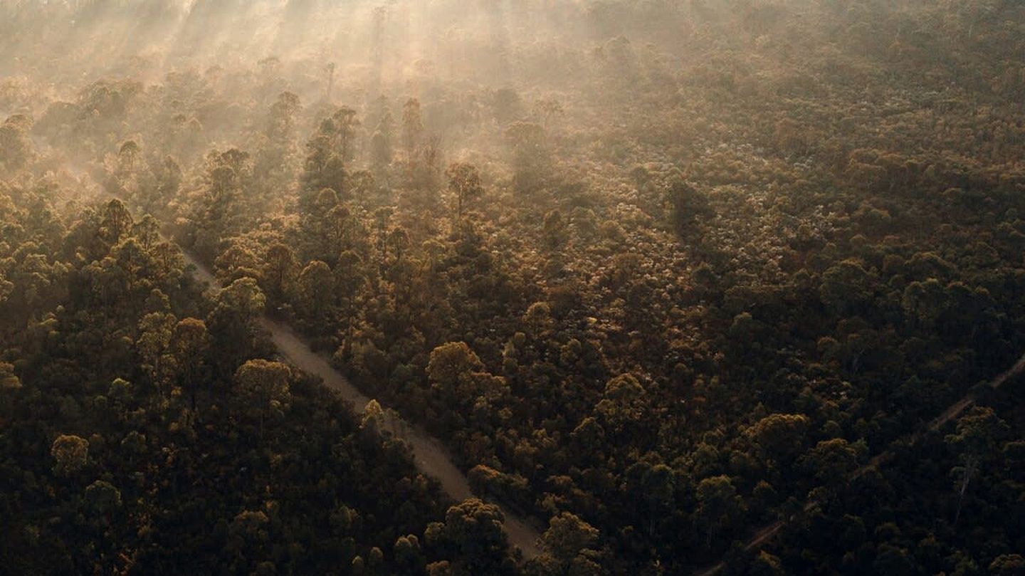 Peaceful Tiny House Rental Ideal for NSW Glamping